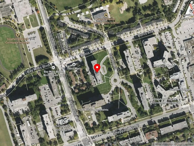 RentSafeTO apartment evaluation satellite view of 10 CARABOB CRT in Scarborough-Agincourt, Toronto