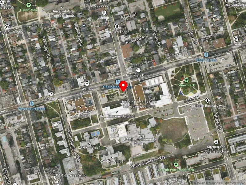 RentSafeTO apartment evaluation satellite view of 100 LOWER OSSINGTON AVE in Spadina-Fort York, Toronto