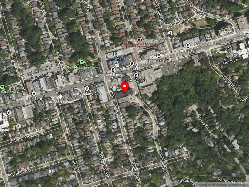 RentSafeTO apartment evaluation satellite view of 117 RUNNYMEDE RD in Parkdale-High Park, Toronto