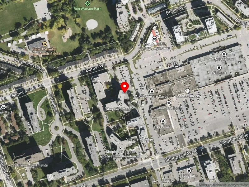 RentSafeTO apartment evaluation satellite view of 125 BONIS AVE in Scarborough-Agincourt, Toronto