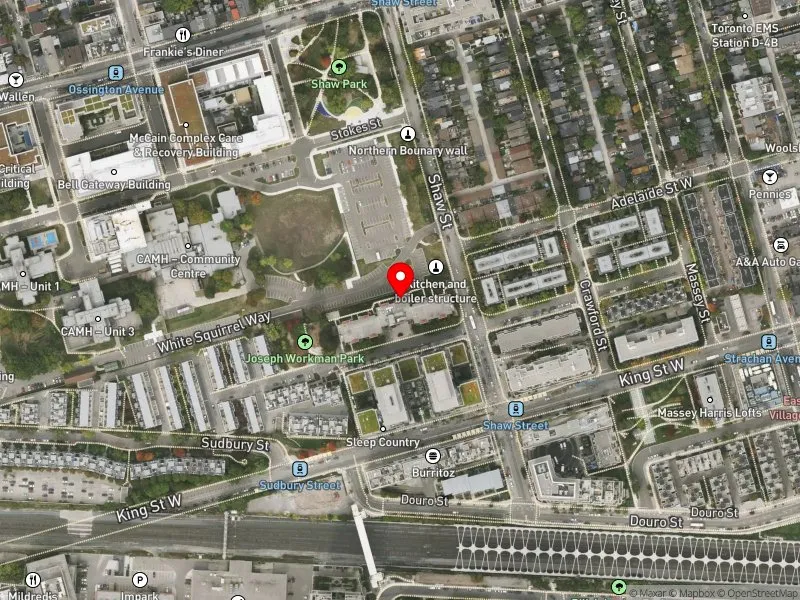 RentSafeTO apartment evaluation satellite view of 24 SHAW ST in Spadina-Fort York, Toronto