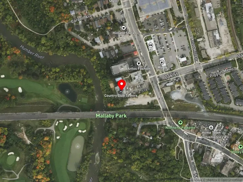 RentSafeTO apartment evaluation satellite view of 2450 WESTON RD in York South-Weston, Toronto