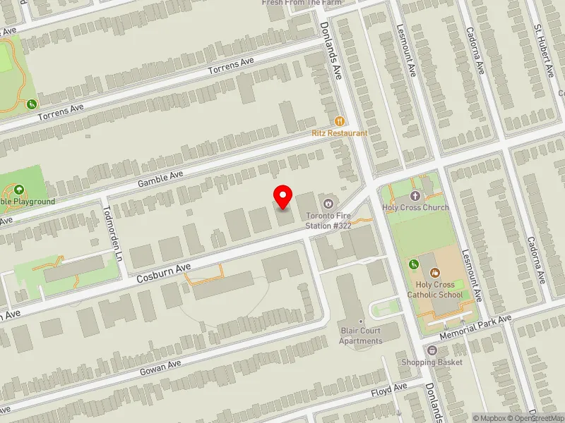 RentSafeTO apartment evaluation map view of 246 COSBURN AVE in Toronto-Danforth, Toronto