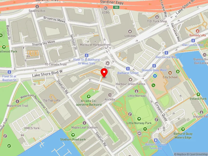 RentSafeTO apartment evaluation map view of 25 BISHOP TUTU BLVD in Spadina-Fort York, Toronto