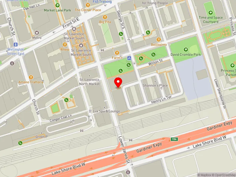 RentSafeTO apartment evaluation map view of 25 HENRY LANE TER in Spadina-Fort York, Toronto