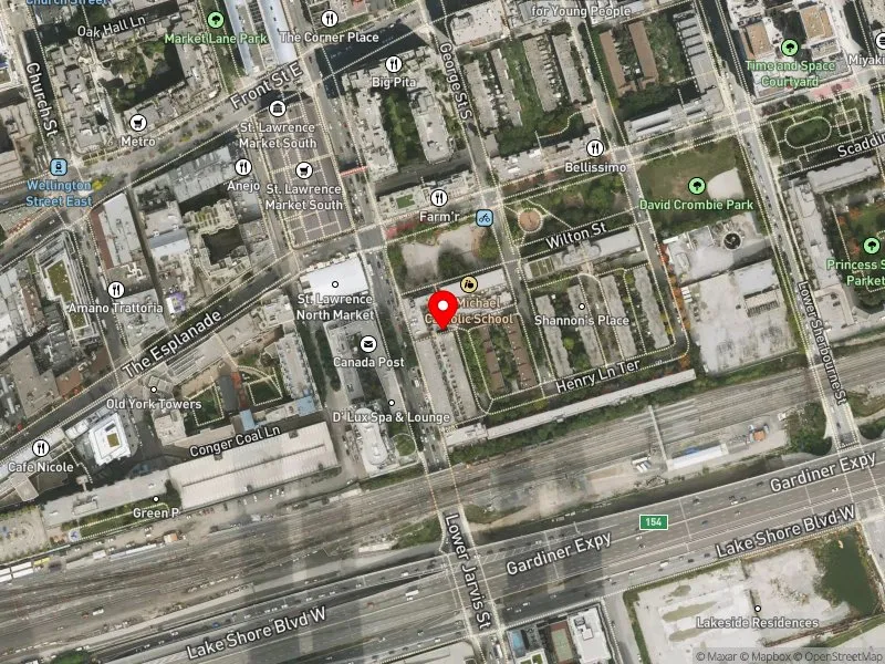 RentSafeTO apartment evaluation satellite view of 25 HENRY LANE TER in Spadina-Fort York, Toronto