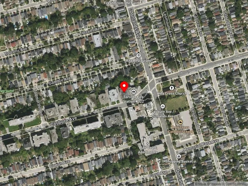 RentSafeTO apartment evaluation satellite view of 250 COSBURN AVE in Toronto-Danforth, Toronto