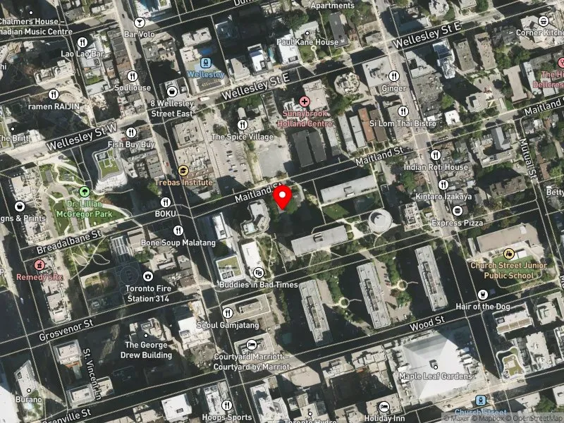 RentSafeTO apartment evaluation satellite view of 33 MAITLAND ST in Toronto Centre, Toronto