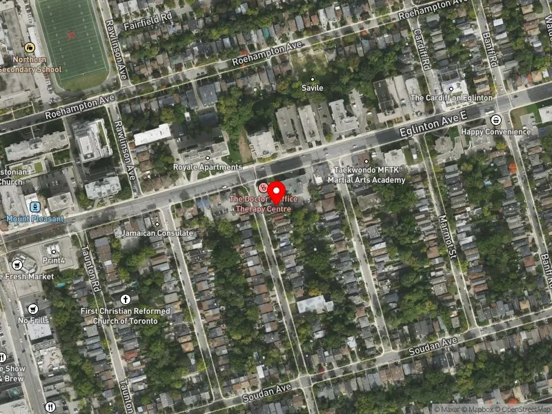 RentSafeTO apartment evaluation satellite view of 341 FORMAN AVE in Don Valley West, Toronto
