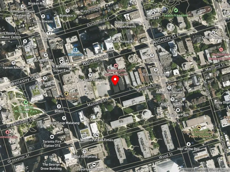 RentSafeTO apartment evaluation satellite view of 36 MAITLAND ST in Toronto Centre, Toronto