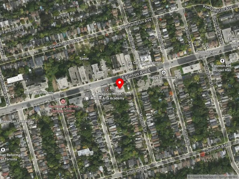 RentSafeTO apartment evaluation satellite view of 411 EGLINTON AVE E in Don Valley West, Toronto