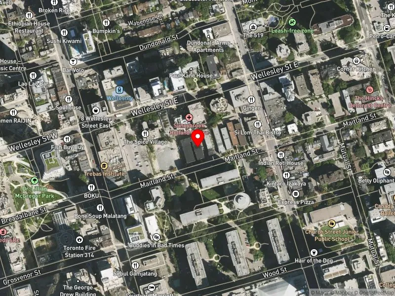 RentSafeTO apartment evaluation satellite view of 42 MAITLAND ST in Toronto Centre, Toronto