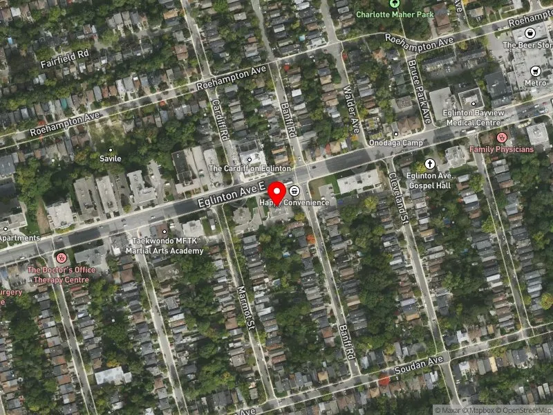 RentSafeTO apartment evaluation satellite view of 445 EGLINTON AVE E in Don Valley West, Toronto