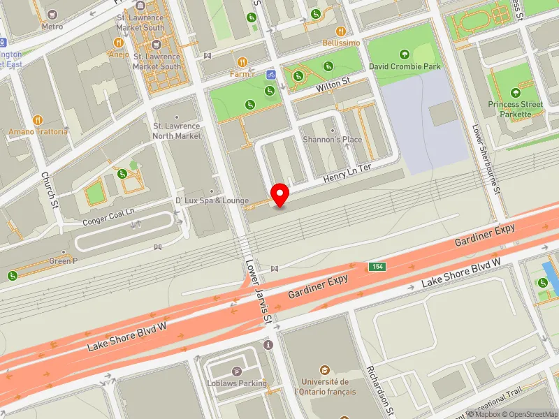 RentSafeTO apartment evaluation map view of 49 HENRY LANE TER in Spadina-Fort York, Toronto