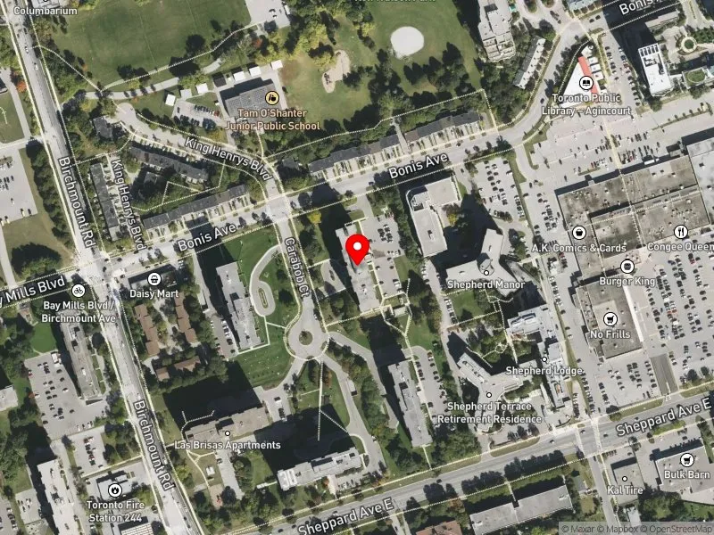RentSafeTO apartment evaluation satellite view of 50 CARABOB CRT in Scarborough-Agincourt, Toronto