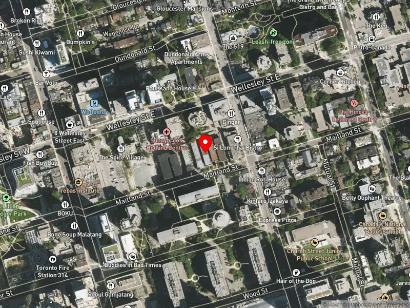 RentSafeTO apartment evaluation satellite view of 54 MAITLAND ST in Toronto Centre, Toronto