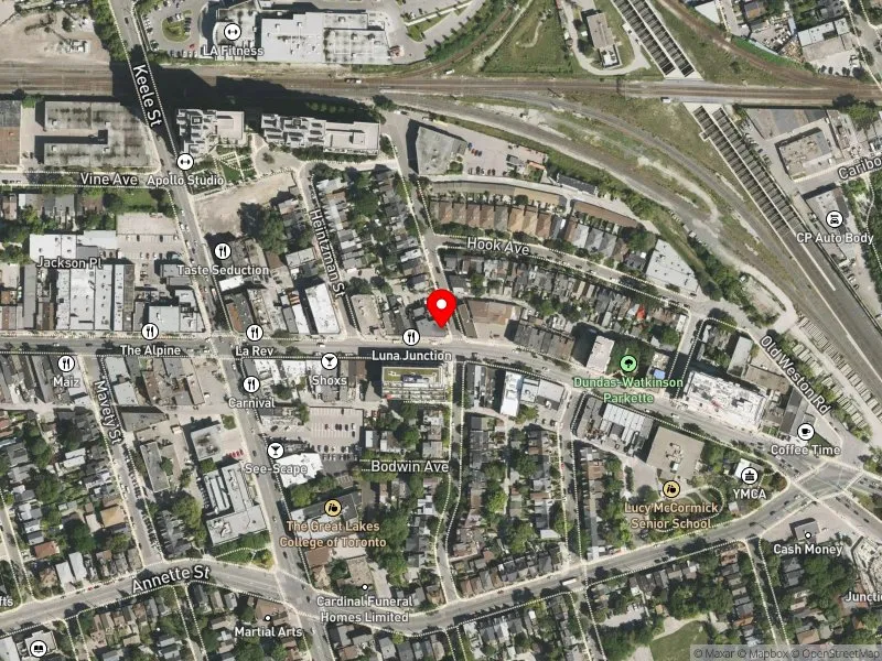 RentSafeTO apartment evaluation satellite view of 546 INDIAN GRV in Parkdale-High Park, Toronto