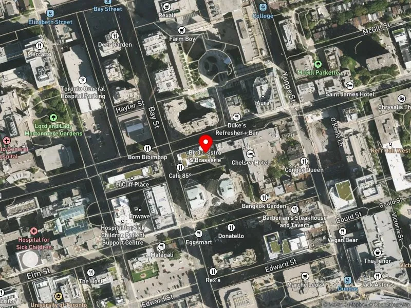 RentSafeTO apartment evaluation satellite view of 55 GERRARD ST W in University-Rosedale, Toronto