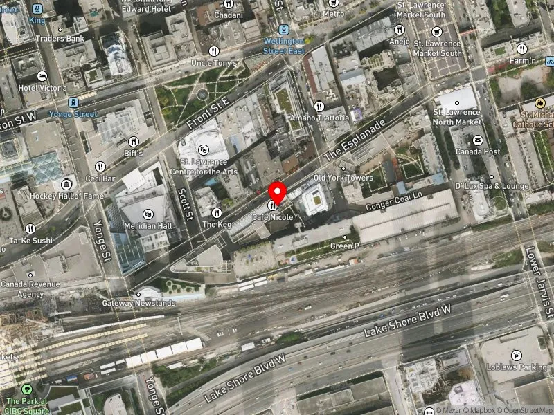 RentSafeTO apartment evaluation satellite view of 55 THE ESPLANADE in Spadina-Fort York, Toronto