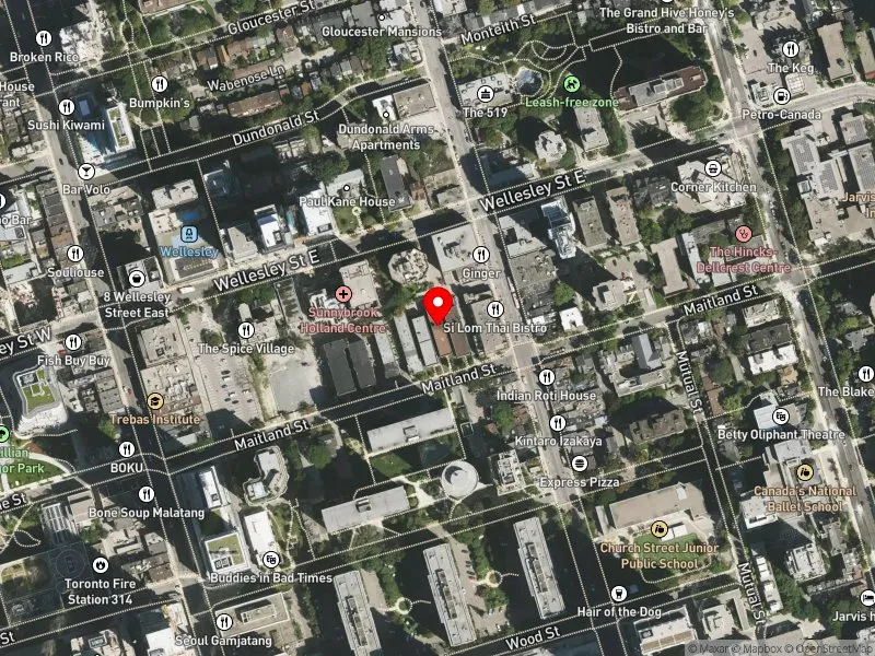 RentSafeTO apartment evaluation satellite view of 56 MAITLAND ST in Toronto Centre, Toronto