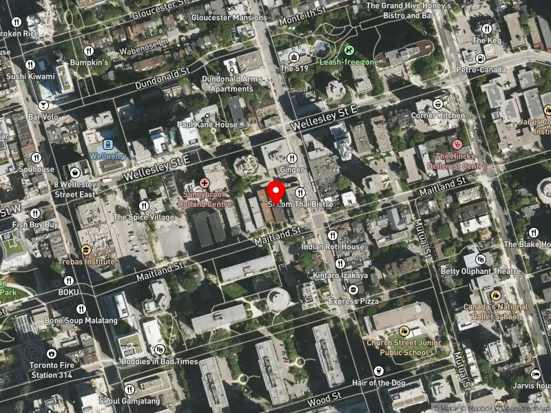 RentSafeTO apartment evaluation satellite view of 58 MAITLAND ST in Toronto Centre, Toronto